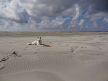 Elisha ganz alleine am Strand